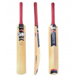 GM Purist Super Star Kashmir Willow Cricket Bat